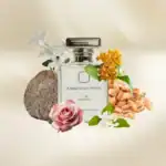 Ormonde Jayne 1. QI INTENSIVO.