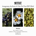 Imaginary Authors A City On Fire Eau de Parfum - Image 4