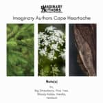Imaginary Authors Cape Heartache Eau de Parfum - Image 5