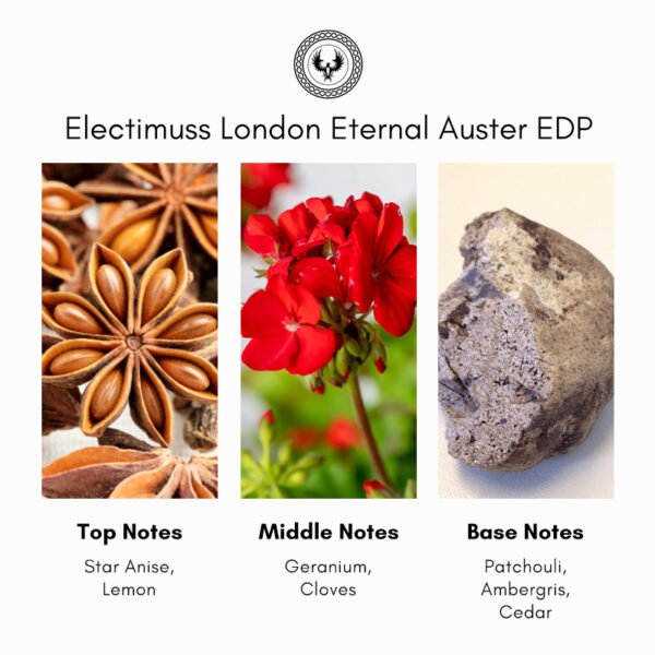 Electimuss London Eternal Auster Extrait de Parfum - Image 4