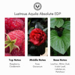 Electimuss London Lustrous Aquila Absolute Extrait de Parfum - Image 4