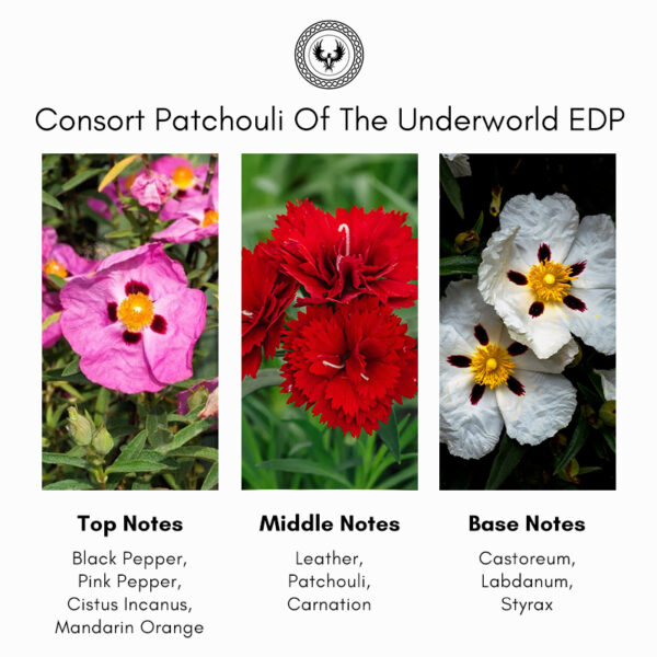 Electimuss London Consort Patchouli Of The Underworld Extrait de Parfum - Image 4