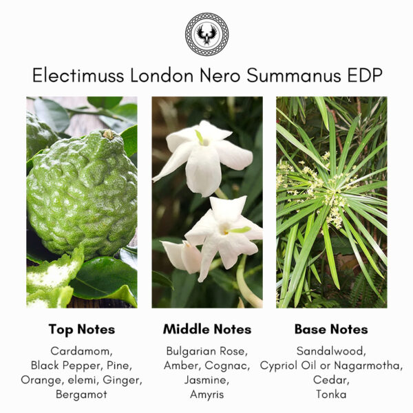 Electimuss London Nero Summanus Extrait de Parfum - Image 4