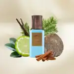 Niche Fragrance - A premium perfume available at Beautinow.
