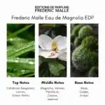 Frederic Malle Eau de Magnolia EDP - A luxurious fragrance available at Beautinow.