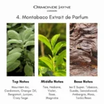 Ormonde Jayne 4. Montabaco Parfum - Image 7