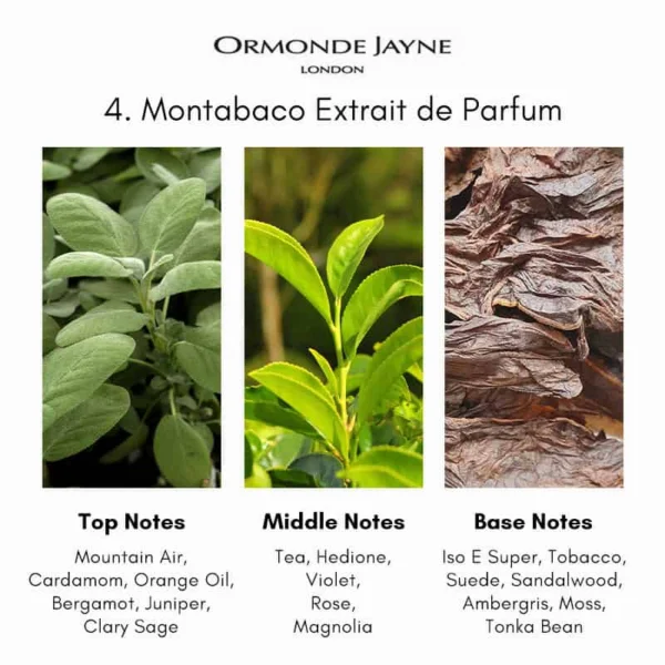 Ormonde Jayne 4. Montabaco Parfum - Image 7