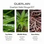 Guerlain Habit Rouge Eau de Toilette - A luxurious fragrance available at Beautinow.