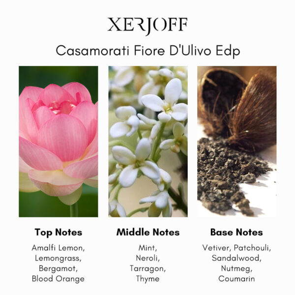 Xerjoff Casamorati Fiore d'Ulivo Eau de Parfum - Image 4