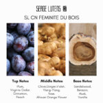 Serge Luten Feminite Du Bois Eau de Parfum - Image 4