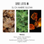 Serge Lutens Ambre Sultan Eau de Parfum - Image 4