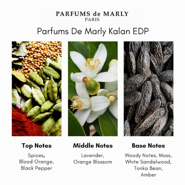 Parfums de Marly Kalan Eau de Parfum - Image 4