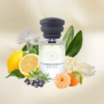 Masque Milano Terralba Eau de Parfum - Image 5