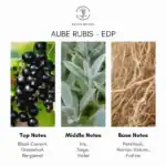 Aube Rubis EDP fragrance bottle, luxurious perfume available at Beautinow.