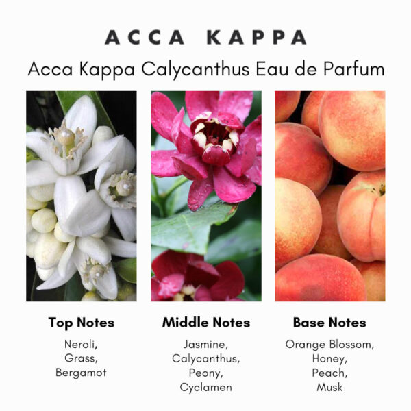 Acca Kappa Calycanthus Eau de Parfum - Image 4