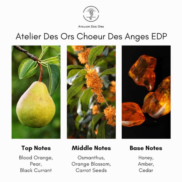 Atelier Des Ors Crepuscule Des Ames Eau de Parfum - Image 5