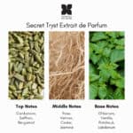 Fragrance du Bois Secret Tryst Extrait de Parfum - Image 4