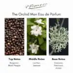 The Orchid Man Eau de Parfum - A premium fragrance available at Beautinow.