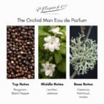 Frapin The Orchid Man Eau de Parfum - Image 6