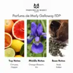 Parfums de Marly Galloway EDP - A premium niche perfume for sophisticated scent lovers.
