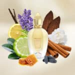 Xerjoff 1861 Naxos Eau de Parfum - Image 6