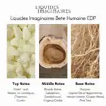 Liquidess Imaginaries Bet Human EDP - A premium fragrance available at Beautinow.