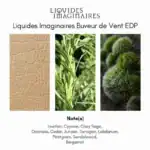 Liquid Imaginaires Buveur de Vent EDP - A premium fragrance available at Beautinow.