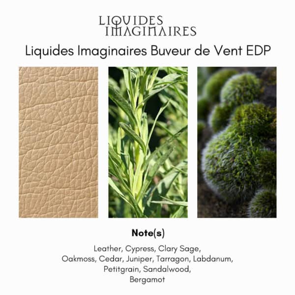 Liquides Imaginaires Buveur de Vent Eau de Parfum - Image 4