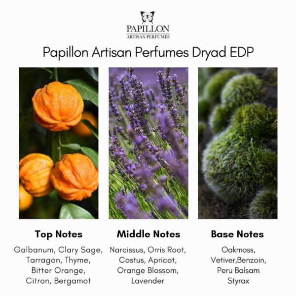 Papillon Artisan Perfumes Dryad Eau de Parfum - Image 4