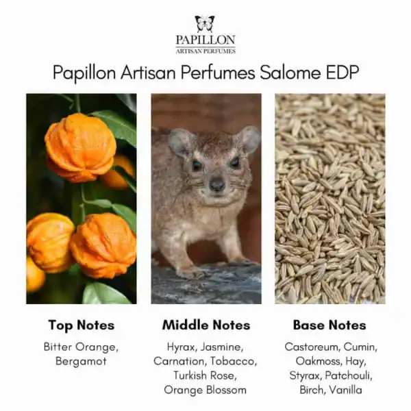 Papillon Artisan Perfumes Salome EDP - A luxurious fragrance available at Beautinow.
