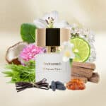 Andromeda fragrance - A luxurious niche perfume available at Beautinow.