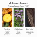 Tiziana Terenzi Orion EXDP - A premium niche perfume available at Beautinow.