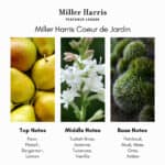 Miller Harris perfume bottle - A luxurious fragrance product available at Beautinow.