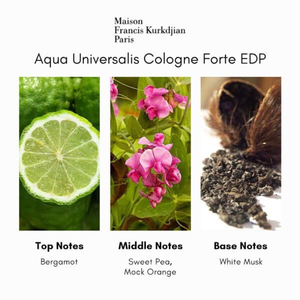 Maison Francis Kurkdjian Aqua Universalis Cologne Forte Eau de Parfum - Image 3