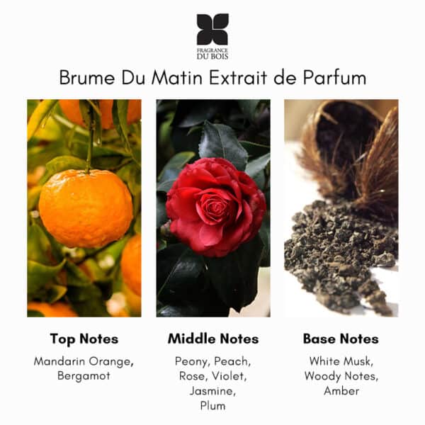 Fragrance du Bois Brume Du Matin Extrait de Parfum - Image 5