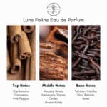 Atelier Des Ors Lune Feline Eau de Parfum - Image 4