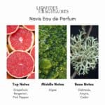 Grapefruit, Bergamot, Pink Pepper, Algae, Oakmoss, Amyris, Cedar.