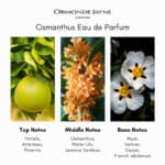 Ormonde Jayne Osmanthus Eau de Parfum - Image 5