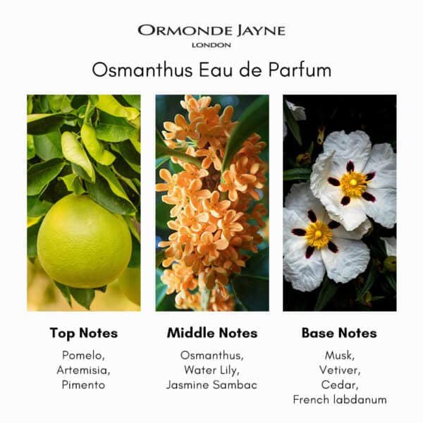 Ormonde Jayne Osmanthus Eau de Parfum - Image 5