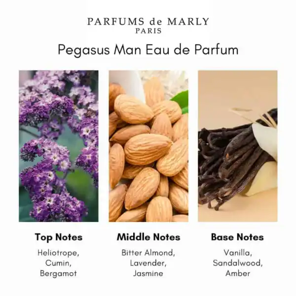 Pegasus Man Eau de Parfum - A luxury fragrance available at Beautinow.