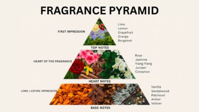 Perfume Olfactory Pyramid: Perfume Notes Explained (2025 Complete Guide)