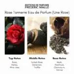 Frederic Malle Rose Tonnerre - A premium fragrance available at Beautinow.