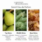 Alwa Sancti Eau de Parfum - A premium fragrance available at Beautinow.