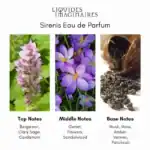 Sirenis Eau de Parfum - A luxurious fragrance available at Beautinow.