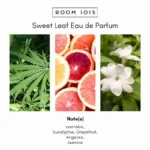 Room 1015 Sweet Leaf Eau de Parfum - Image 4