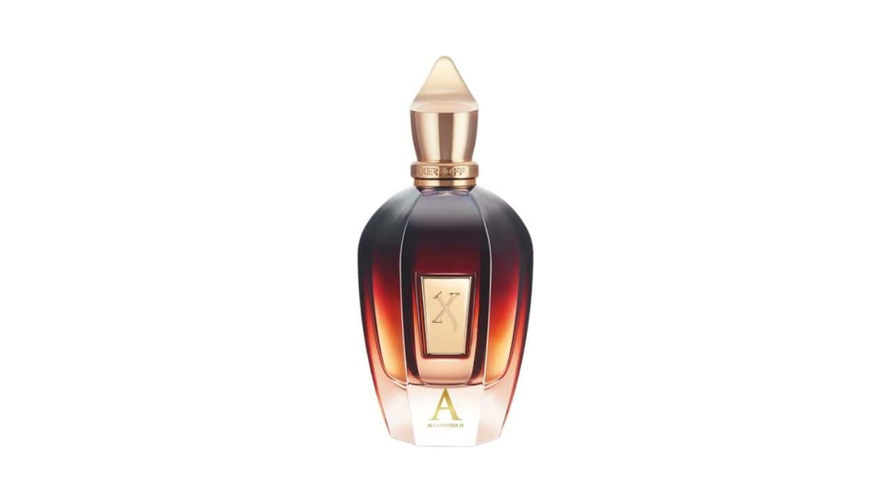 The Olfactory Pyramid in Iconic Perfumes X Xerjoff Oud Stars Alexandria II