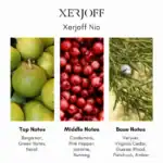 Xerjoff Nio fragrance bottle.