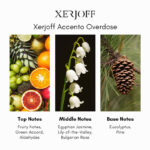 Xerjoff Accento Overdose Eau de Parfum - Image 4