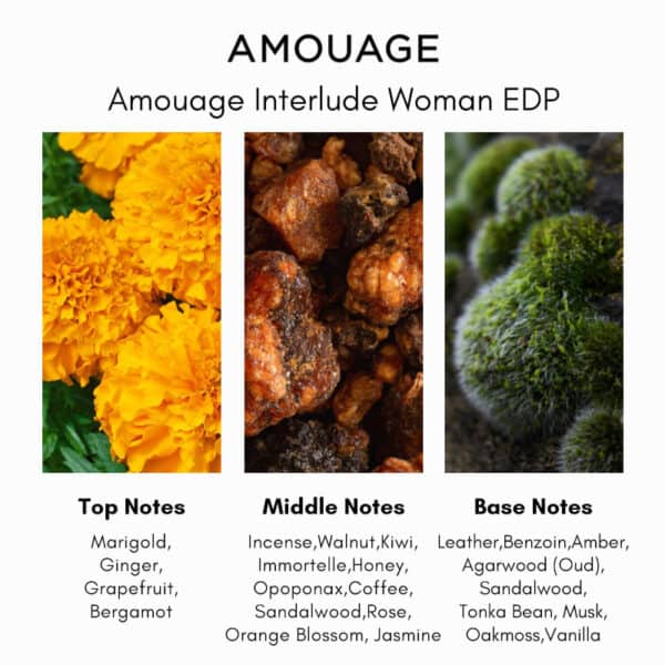 Amouage Interlude Woman Eau de Parfum - Image 4