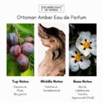 The Merchant of Venice Ottoman Amber Eau de Parfum - Sample - Image 2